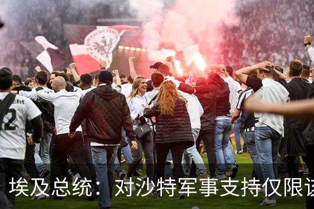 埃及总统：对沙特军事支持仅限该国领土